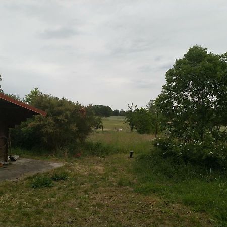 New Home Langendorf  외부 사진