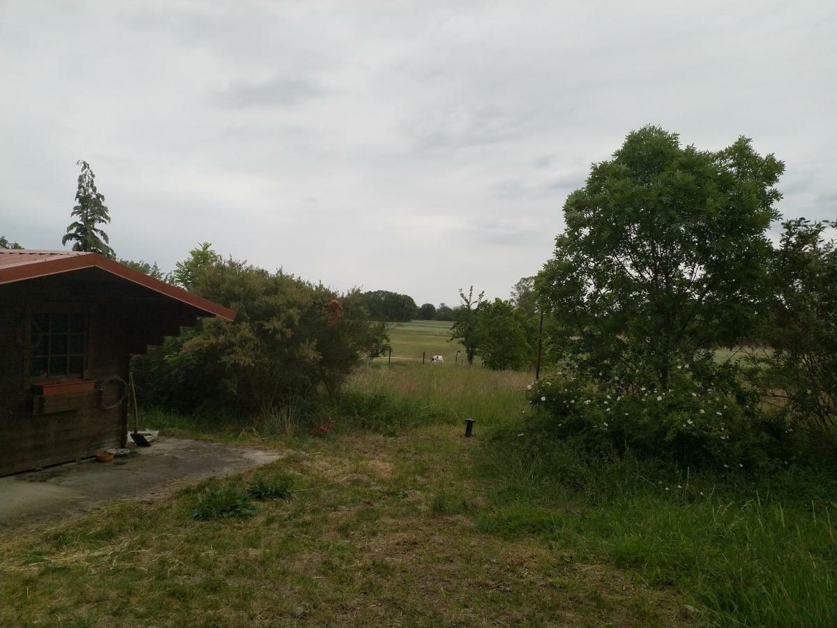 New Home Langendorf  외부 사진